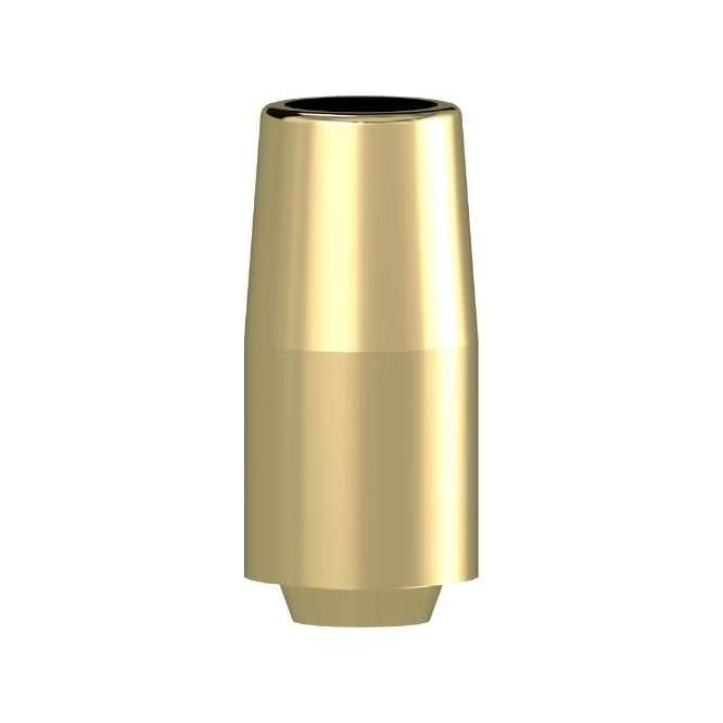 31168 Bar Abutment Gold