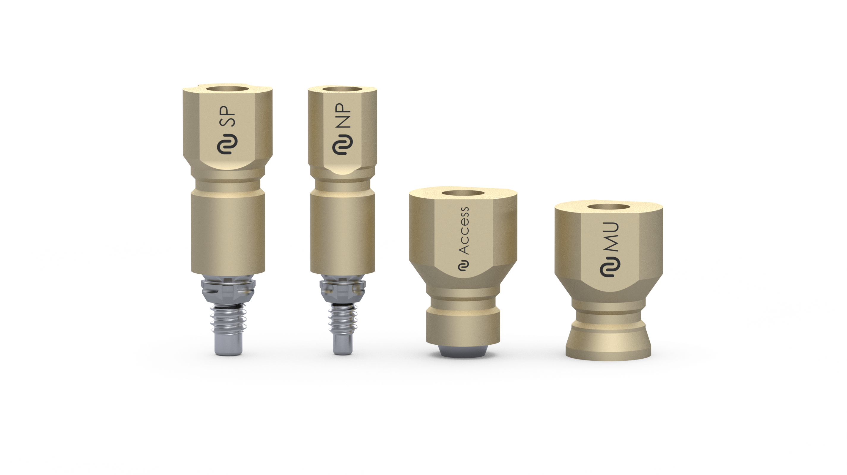 ScanBody overview offer