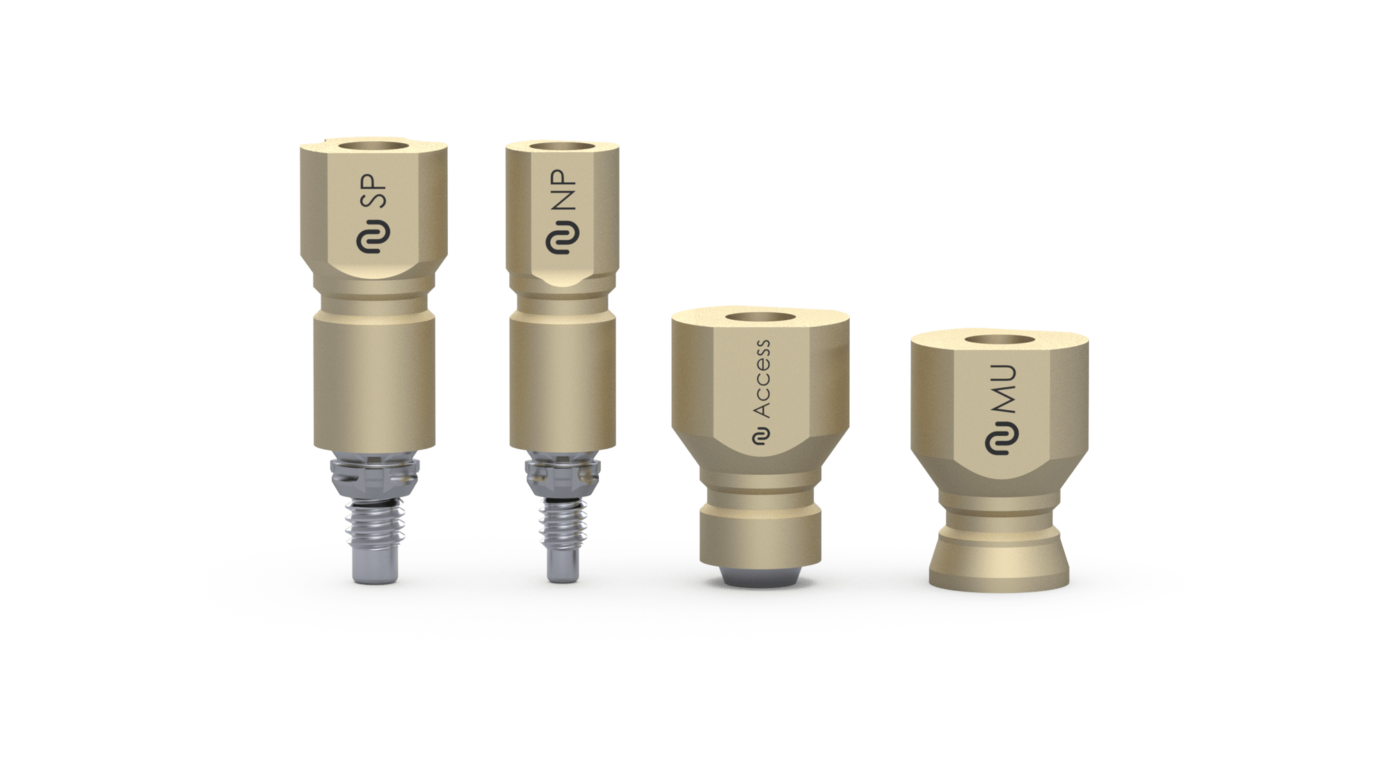 ScanBody overview offer