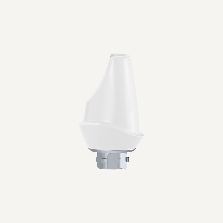 Zr abutment